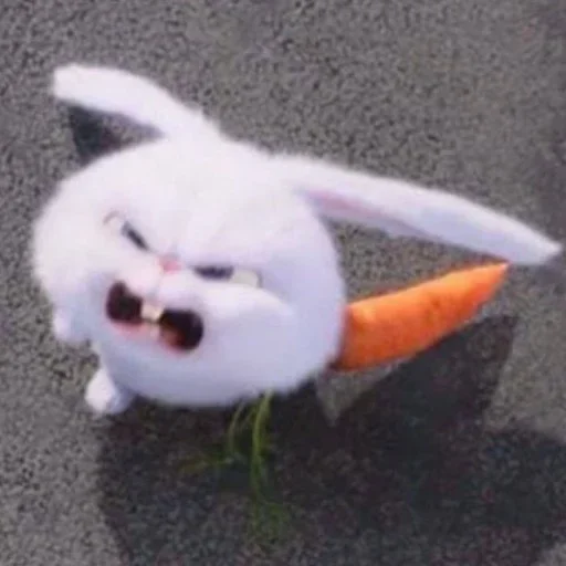 🤬 Стикер «Animals 00 15» для Telegram