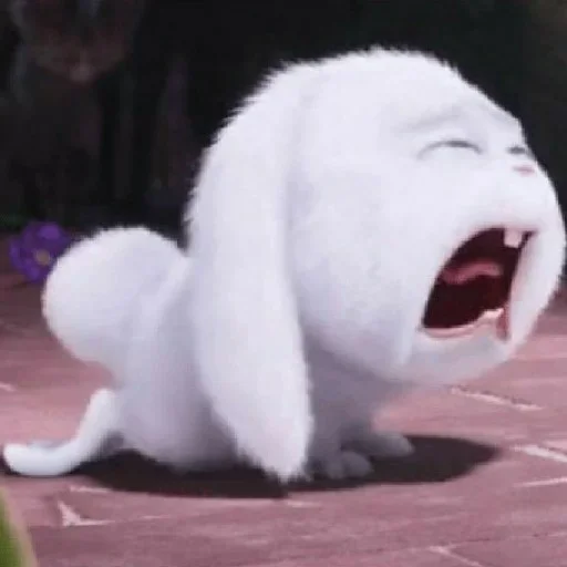 🤬 Стикер «Animals 00 15» для Telegram
