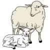 🐑 Эмодзи «Зверюшки» для Telegram