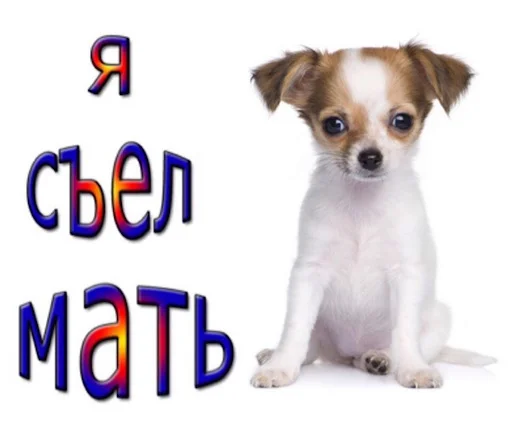 👽 Стикер «ебучие животные» для Telegram