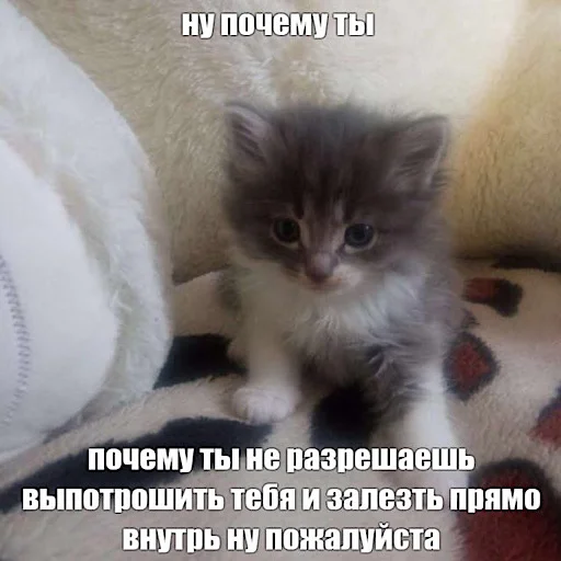 👺 Стикер «ебучие животные» для Telegram