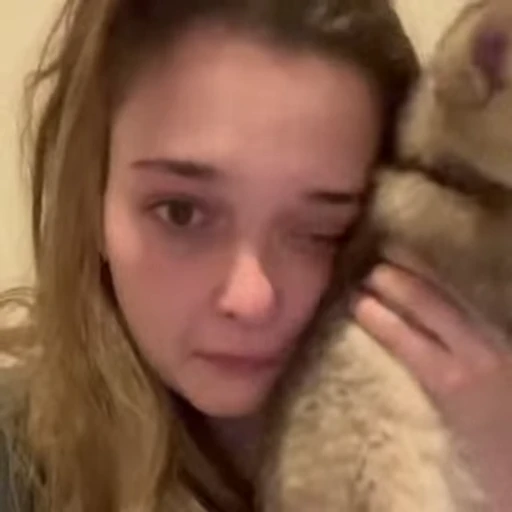 😭 Стикер «Animals memes» для Telegram