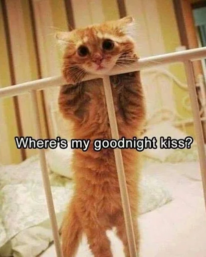 😣 Стикер «Animals Mood» для Telegram
