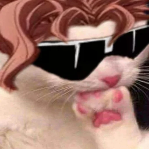 😺 Стикер «JoJo y» для Telegram
