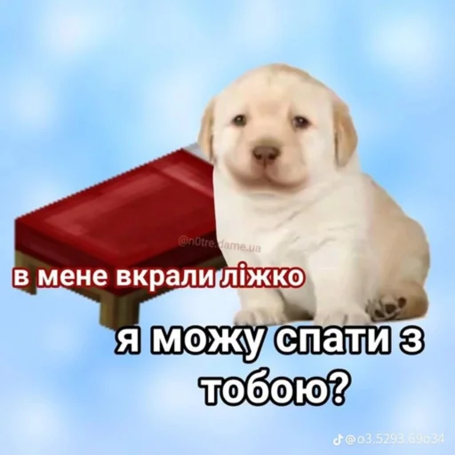 🥺 Стикер «українське лесбійство та мізандрія» для Telegram