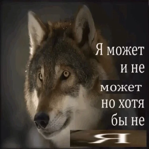 🤔 Стикер «Антицирк» для Telegram