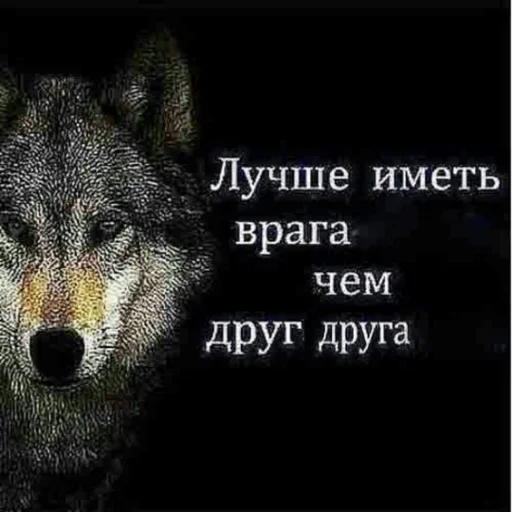 🤝 Стикер «Антицирк» для Telegram