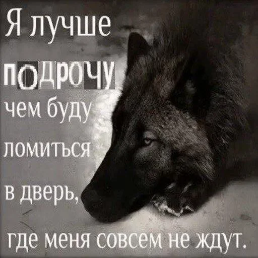💦 Стикер «Антицирк» для Telegram