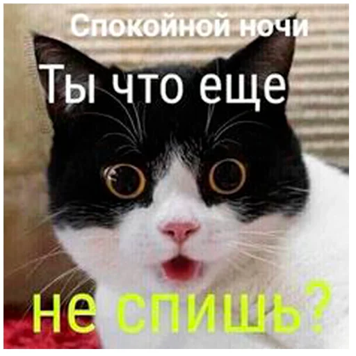 Стикерпак arbuzzer 09 11 для Telegram — скачать