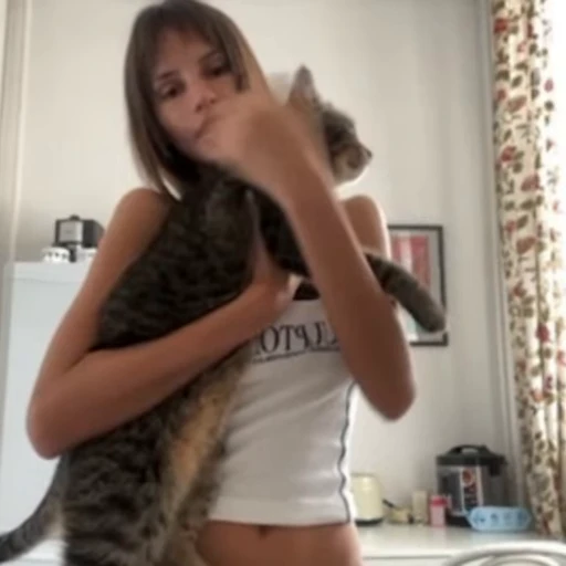 🐱 Стикер «arigins» для Telegram