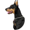 🐶 Эмодзи «Ариночка Биркин» для Telegram