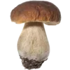 🍄 Эмодзи «рандом эмодзи» для Telegram