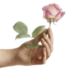🥀 Эмодзи «рандом эмодзи» для Telegram