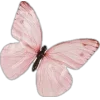 🤩 Эмодзи «Amor Caecus» для Telegram
