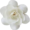 🤩 Эмодзи «Amor Caecus» для Telegram