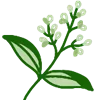 🌱 Эмодзи «Art Nature» для Telegram