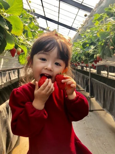 🦋 Стикер «Asian» для Telegram