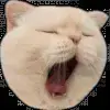 🤩 Эмодзи «asia» для Telegram
