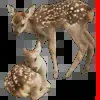 🦌 Эмодзи «asia» для Telegram