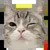 😜 Эмодзи «asia» для Telegram