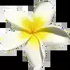 🌼 Эмодзи «asia» для Telegram