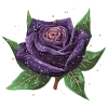 🌹 Эмодзи «Ночной кабинет» для Telegram