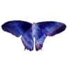 🦋 Эмодзи «Aura 2» для Telegram