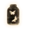 🦋 Эмодзи «Aura 2» для Telegram