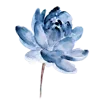 🪻 Эмодзи «Flowers 2» для Telegram