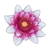 🤩 Эмодзи «Flowers 2» для Telegram