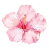🌸 Эмодзи «Flowers 2» для Telegram
