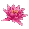 🤩 Эмодзи «Flowers 2» для Telegram