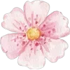 🌸 Эмодзи «Flowers 2» для Telegram