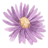 🌸 Эмодзи «Flowers 2» для Telegram