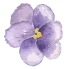 🌸 Эмодзи «Flowers 2» для Telegram