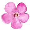 🌸 Эмодзи «Flowers 2» для Telegram