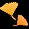 🍁 Эмодзи «Autumn #autumn #cute» для Telegram