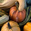 🎃 Эмодзи «autumn atmosphere» для Telegram
