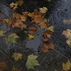 🍂 Эмодзи «autumn atmosphere» для Telegram