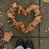 ❤️ Эмодзи «autumn atmosphere» для Telegram