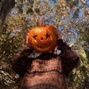 🎃 Эмодзи «autumn atmosphere» для Telegram