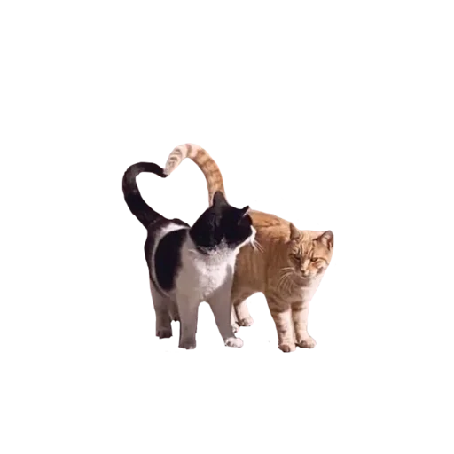 🐈 Стикер «сладость на корочке пирога» для Telegram