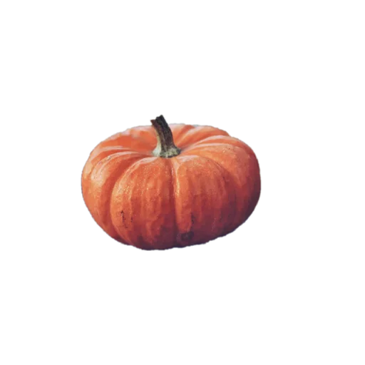 🎃 Стикер «сладость на корочке пирога» для Telegram