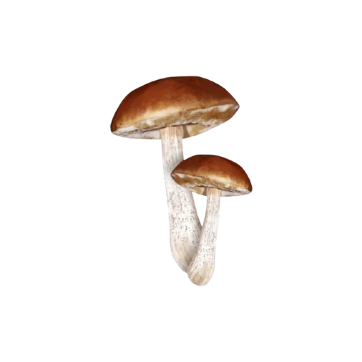 🍄 Стикер «сладость на корочке пирога» для Telegram