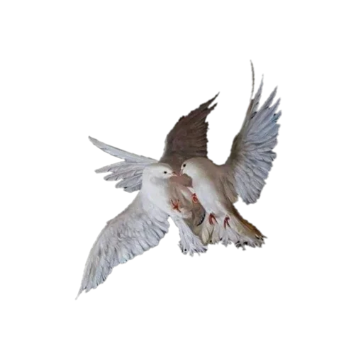 🕊 Стикер «сладость на корочке пирога» для Telegram