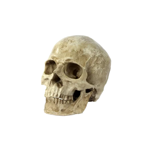💀 Стикер «сладость на корочке пирога» для Telegram
