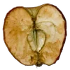 🍎 Эмодзи «Autumn #timeofyear #autumn» для Telegram