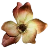 Стикерпак Autumn #timeofyear #autumn для Telegram