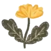 🌼 Эмодзи «Autumn Vibe» для Telegram