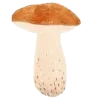 🍄 Эмодзи «Autumn Vibe» для Telegram